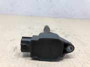 Zündspule 224332428R Renault Scénic III (JZ) Großraumlimousine 1.2 16V TCe 115 Energy (H5F-400(H5F-A4)) 2013-02