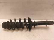 Federbein Links Vorne Volkswagen Golf IV Variant (1J5) Kombi 1.9 TDI 100 (AXR) 2005-11 AXR