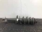 Federbein Rechts Vorne 485100H070 Toyota Aygo (B40) Schrägheck 1.0 12V VVT-i (1KR-FE) 2021-08