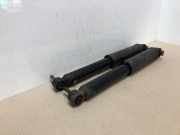 Stoßdämpfer Set 8200411124B Renault Grand Scénic II (JM) Großraumlimousine 2.0 16V (F4R-771(Euro 4)) 2005-01