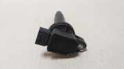 Stift Zündspule 9008019021 Toyota Yaris II (P9) Schrägheck 1.3 16V VVT-i (2SZFE) 2008-03