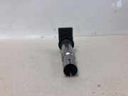 Stift Zündspule 036905715F Volkswagen Polo IV (9N1/2/3) Schrägheck 1.4 16V (BKY) 2004-10 BKY