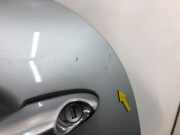 Tür Links Vorne 41517202911 Mini Mini One/Cooper (R50) Schrägheck 1.6 16V One (W10-B16A) 2002-02