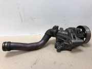 Wasserpumpe 210106N226 Nissan X-Trail (T30) SUV 2.5 16V 4x4 (QR25) 2006-04