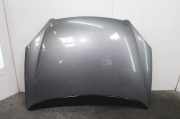Motorhaube 7901H9 Citroën C5 I Break (DE) Kombi 2.0 16V (EW10J4(RFN)) 2002-08