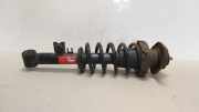 Federbein Links Hinten 33521508015 Mini Mini One/Cooper (R50) Schrägheck 1.6 16V One (W10-B16A) 2003-01