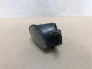 Nebelscheinwerfer Links Vorne Renault Vel Satis (BJ) Gro?raumlimousine 3.5 V6 24V (V4Y-711(Euro 4)) 2004-02