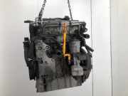 Motor 03G100033M Volkswagen Caddy III (2KA,2KH,2CA,2CH) Van 2.0 SDI (BST) 2008-01 BST