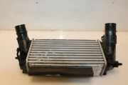 Ladeluftkühler C1B19L440BA Ford Fiesta 6 (JA8) Schrägheck 1.0 EcoBoost 12V 100 (SFJD) 2017-01