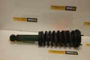 Stoßdämpfer Links Hinten Jaguar S-type (X200) Limousine 4.2 R V8 32V (1G) 2005-06