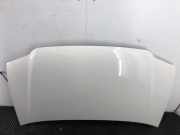 Motorhaube 1T0823031D Volkswagen Caddy III (2KA,2KH,2CA,2CH) Van 2.0 SDI (BST) 2005-01 BST