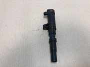 Stift Zündspule 7700875000 Renault Scénic II (JM) Großraumlimousine 1.6 16V (K4M-782) 2004-01