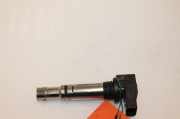 Stift Zündspule 036905715E Skoda Fabia (6Y2) Schrägheck 5-drs 1.4i 16V (BKY) 2003-06