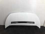 Motorhaube 7901N1 Citroën Jumpy (G9) Van 1.6 HDI 16V (DV6UTED4(9HU)) 2007-06