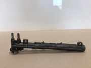 Einspritzdüsen Düsenstock 036133319 Audi A2 (8Z0) Schrägheck 1.4 16V (BBY) 2001-02