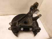 Achsschenkel Links Hinten Land + Range Rover Range Rover Sport (LW) Geländewagen 3.0 SDV6 (306DT(TDV6)) 2014-04