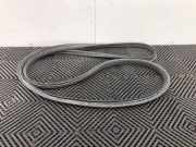 Heckklappe Gummi A2467400378 Mercedes-Benz B (W246) Schrägheck 2.2 B-220 CDI BlueEFFICIENCY,d 16V (OM651.930(Euro 6)) 2018-10