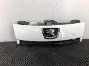 Grill 1497644077 Peugeot Expert (G9) Van 1.6 HDi 90 (DV6UTED4(9HU)) 2007-06