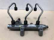 Einspritzdüsen Düsenstock 059130089BT Porsche Cayenne II (92A) SUV 3.0 D V6 24V (MCR.CA(Euro 5)) 2013