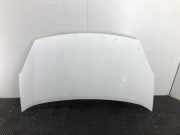 Motorhaube 7901P7 Citroën Berlingo Van 1.6 Hdi 16V 90 (DV6TED4BU.FAP(9HS)) 2011-07