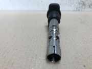 Zündspule A6510150601TF Volkswagen Passat (3B3) Limousine 2.0 20V (ALT(Euro 4)) 2004-09 ALT(Euro 4)