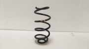 Schraubenfeder Hinten Nissan Juke (F16) SUV 1.0 DIG-T 117 12V (HR10DDT(H5D)) 2020-05