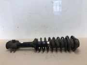 Federbein Links Vorne 4160283E60 Suzuki Wagon-R+ (RB) Großraumlimousine 1.3 16V (G13BB) 2000-09