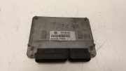 Motorsteuergerät 03E906033 Volkswagen Polo IV (9N1/2/3) Schrägheck 1.2 12V (BME) 2002-07 BME