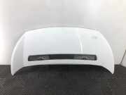 Motorhaube 7901N1 Peugeot Expert (G9) Van 1.6 HDi 90 (DV6UTED4(9HU)) 2007-06