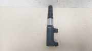 Stift Zündspule 8200765882 Renault Clio III (BR/CR) Schrägheck 1.4 16V (K4J-780) 2006-01
