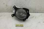 Nebelscheinwerfer Rechts Vorne 89210613 Audi A4 (B7) Limousine 2.0 TDI 16V (BRE) 2005-05