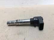 Stift Zündspule 0986221023 Volkswagen Polo IV (9N1/2/3) Schrägheck 1.4 16V (BKY) 2002-10 BKY