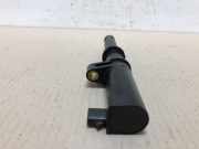 Stift Zündspule 0206531677 Renault Clio III (BR/CR) Schrägheck 1.4 16V (K4J-780) 2005-11