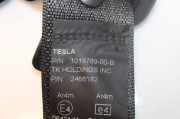 Sicherheitsgurt Links Hinten 101878900B Tesla Model S Liftback 85D Performance (L2S) 2016-04