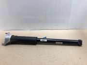 Stoßdämpfer Rechts Hinten A1773200603 Mercedes-Benz B (W247) Schrägheck 2.0 B-200d (OM654.920) 2020-03