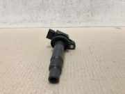 Zündspule 9008019021 Toyota Yaris II (P9) Schrägheck 1.3 16V VVT-i (2SZFE) 2007-02