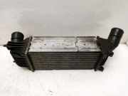 Ladeluftkühler 9645682880 Peugeot 407 SW (6E) Kombi 2.0 HDiF 16V (DW10BTED4(RHR)) 2005-02