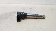 Stift Zündspule 036905715C Seat Ibiza III (6L1) Schrägheck 1.4 16V 75 (BKY) 2003-12