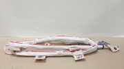 Dachairbag Rechts 0589P1000343 Tesla Model S Liftback P100D AWD (L2S) 2018-09
