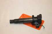Stift Zündspule 9008019019 Toyota Corolla (E12) Schrägheck 1.6 16V VVT-i (3ZZFE) 2002-05