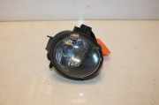 Nebelscheinwerfer Rechts Vorne 63176924656 BMW X3 (E83) SUV 2.0d 16V (N47-D20C) 2008-09