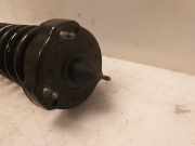 Federbein Links Vorne A2193200713 Mercedes-Benz CLS (C219) Limousine 350 3.5 V6 18V (M272.964) 2005-01