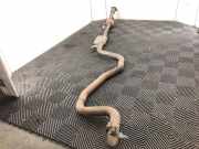 Auspuffanlage Original A1774903902 Mercedes-Benz B (W247) Schrägheck 2.0 B-200d (OM654.920) 2022-07