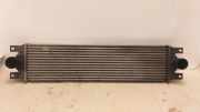 Ladeluftkühler 874806M Renault Master II (FD/HD) Van 2.5 dCi 120 FAP (G9U-650) 2007