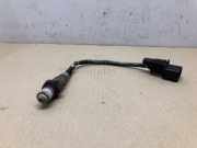 Lambdasonde 0258007143 BMW 3 serie Touring (E46/3) Kombi 316i 16V (N42-B18A) 2003-02