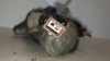 Anlasser M000T82081 Citroën Xsara Picasso (CH) Großraumlimousine 1.8 16V (XU7JP4(LFY)) 2000-05 Bild Anlasser M000T82081 Citroën Xsara Picasso (CH) Großraumlimousine 1.8 16V (XU7JP4(LFY)) 2000-05