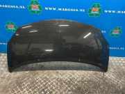 Motorhaube Renault Twingo II CN0