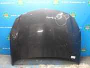 Motorhaube Opel Insignia A G09
