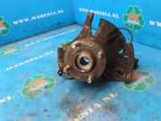 Achsschenkel rechts vorne Hyundai i20 PB 517161J100