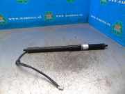 Heckklappendämpfer links Toyota RAV 4 V A5, H5 6892042020